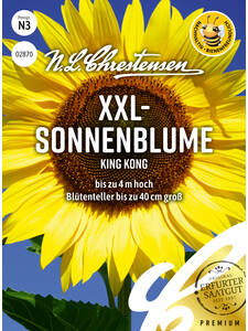 Samen - Sonnenblume King Kong