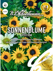 Samen - Sonnenblume Little Star: (Bildbeschreibung ist in Arbeit)