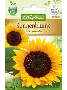 bienenfreundliche - Sonnenblume Schnittwunder: (Bildbeschreibung ist in Arbeit)