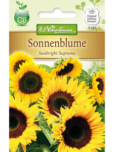 Samen - Sonnenblume Sunbright Supreme