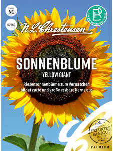 Samen - Sonnenblume Yellow Giant