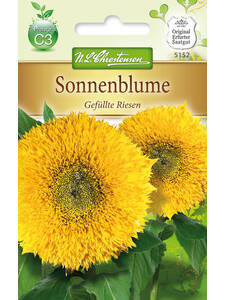 Samen - Sonnenblumen Gefllte Riesen