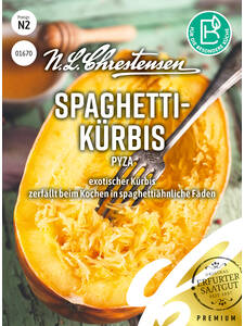Krbissamen - Spaghettikrbis Pyza: (Bildbeschreibung ist in Arbeit)