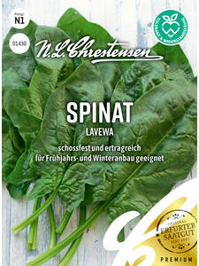 Samen - Spinat Lavewa: (Bildbeschreibung ist in Arbeit)