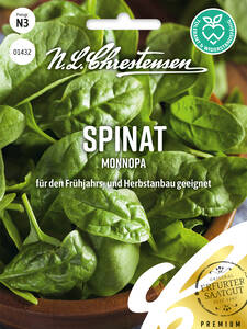 Dekoratives Vorschaubild des Artikels "Spinat Monnopa" (Bildbeschreibung ist in Arbeit)