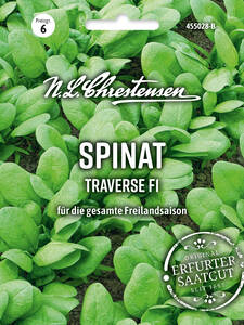 Dekoratives Vorschaubild des Artikels "Spinat Traverse, F1" (Bildbeschreibung ist in Arbeit)