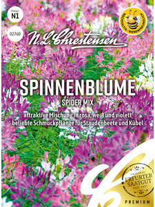 Samen - Spinnenblume Spider Mix