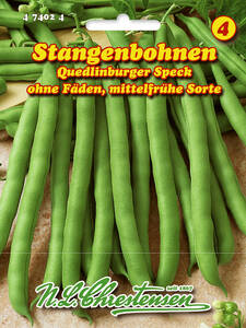 Samen - Stangenbohne Quedlinburger Speck: (Bildbeschreibung ist in Arbeit)