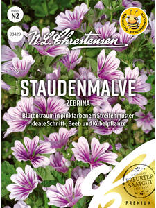 Samen - Stauden-Malve Zebrina