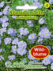 Samen Wildblumen - Staudenlein