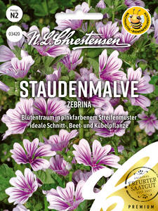 Dekoratives Vorschaubild des Artikels "Staudenmalve Zebrina" (Bildbeschreibung ist in Arbeit)