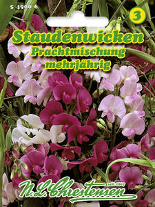 Samen - Staudenwicken Prachtmischung: (Bildbeschreibung ist in Arbeit)