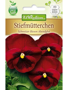 Samen - Stiefmtterchen Schweizer Riesen Abendglut: (Bildbeschreibung ist in Arbeit)