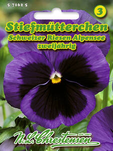 Samen - Stiefmtterchen Schweizer Riesen Alpensee: (Bildbeschreibung ist in Arbeit)