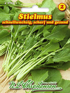 Samen - Stielmus: (Bildbeschreibung ist in Arbeit)