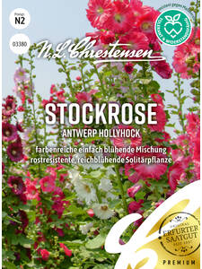 Samen - Stockrose Antwerp Hollyhock: (Bildbeschreibung ist in Arbeit)