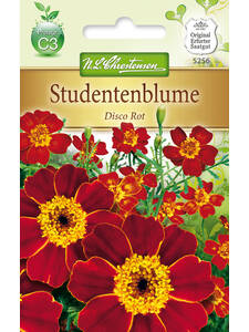 Samen - Studentenblume Disco Rot