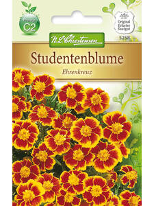 Balkonpflanzen - Studentenblume Ehrenkreuz: (Bildbeschreibung ist in Arbeit)