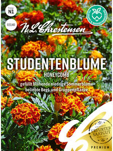 Samen - Studentenblume Honeycomb: (Bildbeschreibung ist in Arbeit)