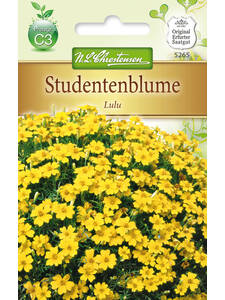 Samen - Studentenblume Lulu: (Bildbeschreibung ist in Arbeit)