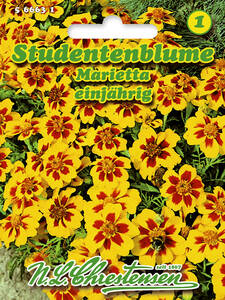 Samen - Studentenblume Marietta: (Bildbeschreibung ist in Arbeit)