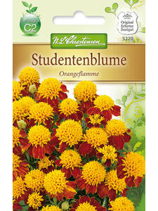 Samen - Studentenblume Orangeflamme: (Bildbeschreibung ist in Arbeit)
