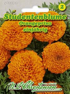 Samen - Studentenblume Orangeprinz: (Bildbeschreibung ist in Arbeit)