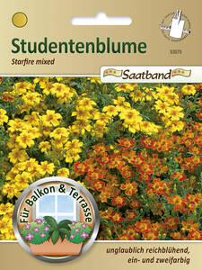 Samen - Studentenblume Starfire mixed