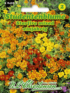 Samen - Studentenblume Starfire mixed: (Bildbeschreibung ist in Arbeit)