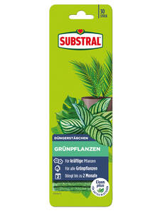 Dekoratives Vorschaubild des Artikels "Substral Dngerstbchen Grnpflanzen" (Bildbeschreibung ist in Arbeit)