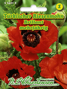 Samen - Trkischer Riesenmohn Brillant