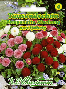 Samen - Tausendschn Pomponette Mischung: (Bildbeschreibung ist in Arbeit)