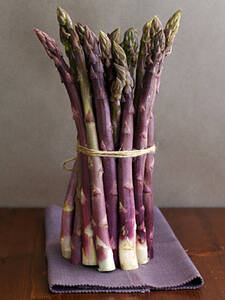 Violetter Spargel Burgundine
