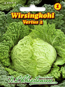 Samen - Wirsingkohl Vertus 2: (Bildbeschreibung ist in Arbeit)