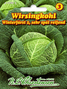 Samen - Wirsingkohl Winterfrst 2: (Bildbeschreibung ist in Arbeit)