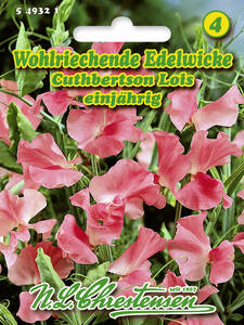 Samen - Wohlriechende Edelwicke Cuthbertson Lois: (Bildbeschreibung ist in Arbeit)