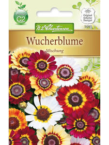 Samen - Wucherblume Mischung: (Bildbeschreibung ist in Arbeit)