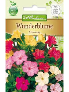 Samen - Wunderblume Mischung: (Bildbeschreibung ist in Arbeit)