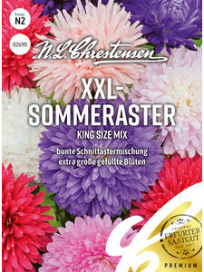 Samen - XXL-Sommeraster King-Size Mix