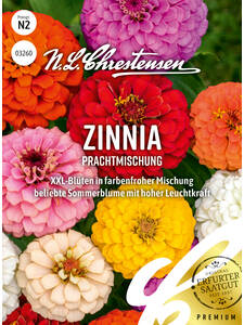 Samen - Zinnia Prachtmischung: (Bildbeschreibung ist in Arbeit)