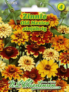Samen - Zinnie Old Mexico: (Bildbeschreibung ist in Arbeit)