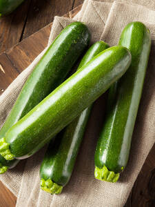 Zucchini Pflanzen - Zucchini Dunja, F1 (unveredelt)