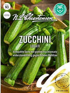 Samen - Zucchini Leila, F1: (Bildbeschreibung ist in Arbeit)