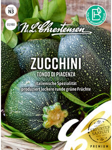 Samen - Zucchini Tondo di Piacenza: (Bildbeschreibung ist in Arbeit)