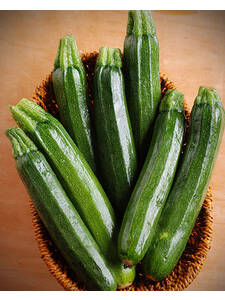Zucchini Zuboda