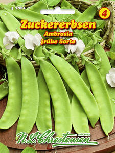 Samen - Zuckererbse Ambrosia: (Bildbeschreibung ist in Arbeit)