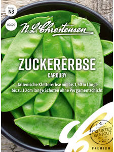 Erbsensamen - Zuckererbse Carouby