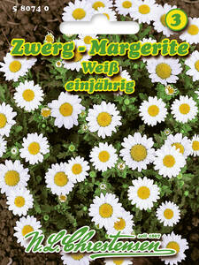 Samen - Zwerg-Margerite: (Bildbeschreibung ist in Arbeit)